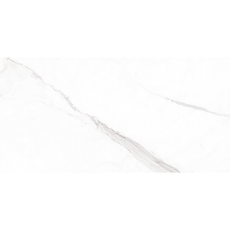 Statuario White Polished 30x60cm Rectangular Polished Porcelain Wall & Floor Tile