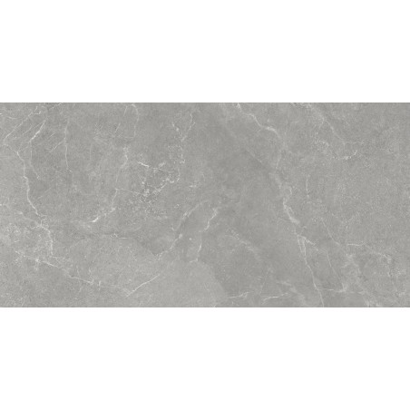 Seismic Grey 60x120cm Rectangular Matt Porcelain Wall and Floor Tile