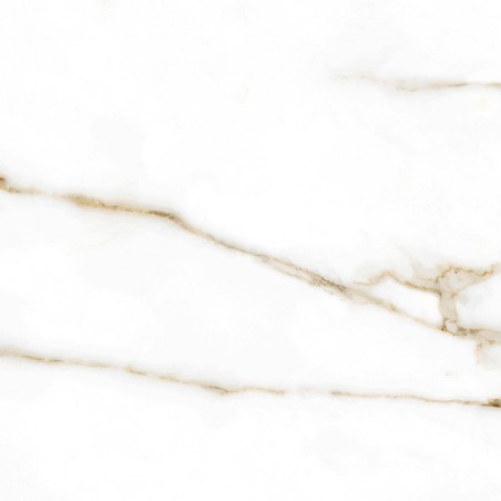 Brera Gold Polished 60x60cm, Square, Polished Porcelain Wall & Floor Tile