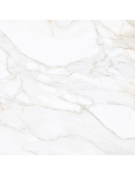 Paonazza Gold 60x60cm Square Satin Porcelain Wall & Floor Tile