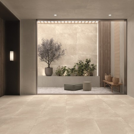 Alchemy Beige 30x60 Rectangular Matt Glazed Porcelain Wall & Floor Tile