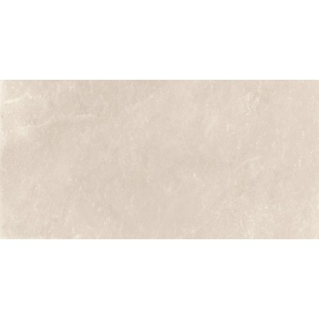 Alchemy White 30x60 Rectangular Glazed Porcelain Wall & Floor Tile