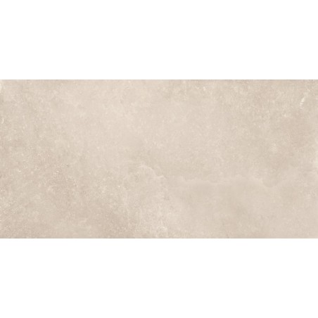 Alchemy White 60x120 Rectangular Matt Glazed Porcelain Wall & Floor