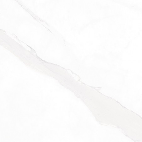 Statuario White Natural 60x60cm Square Matt Porcelain Wall & Floor Tile