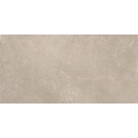Chemistry Grey 60x120 Rectangular Matt Glazed Porcelain Wall & Floor Tile