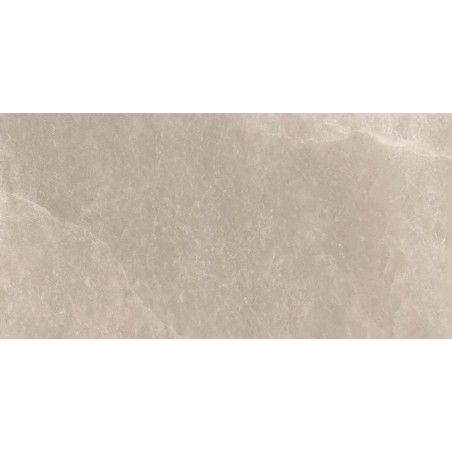 Chemistry Grey 60x120 Rectangular Matt Glazed Porcelain Wall & Floor Tile
