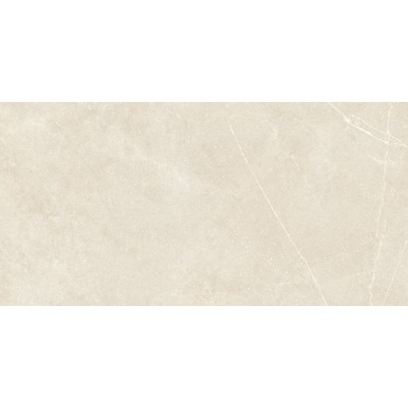 Daima Perla Light Grey 30x60cm Rectangular Matt Porcelain Wall and Floor Tile