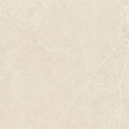 Daima Perla Light Grey 60x60cm Square Matt Porcelain Wall and Floor Tile