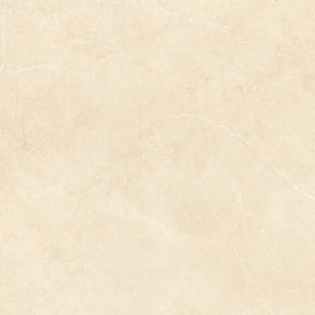 Daima Bone Beige 60x60cm Square Matt Porcelain Wall and Floor Tile