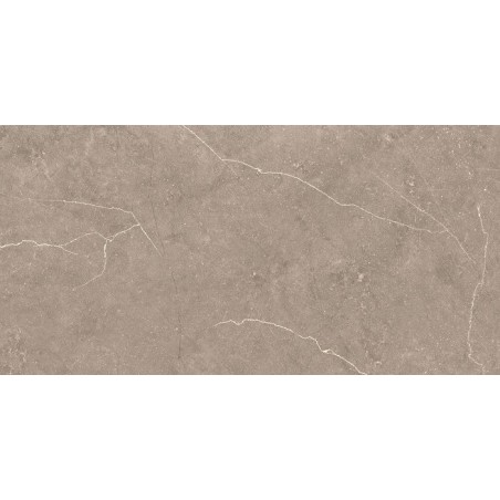 Daima Grey 30x60cm Rectangular Matt Porcelain Wall and Floor Tile